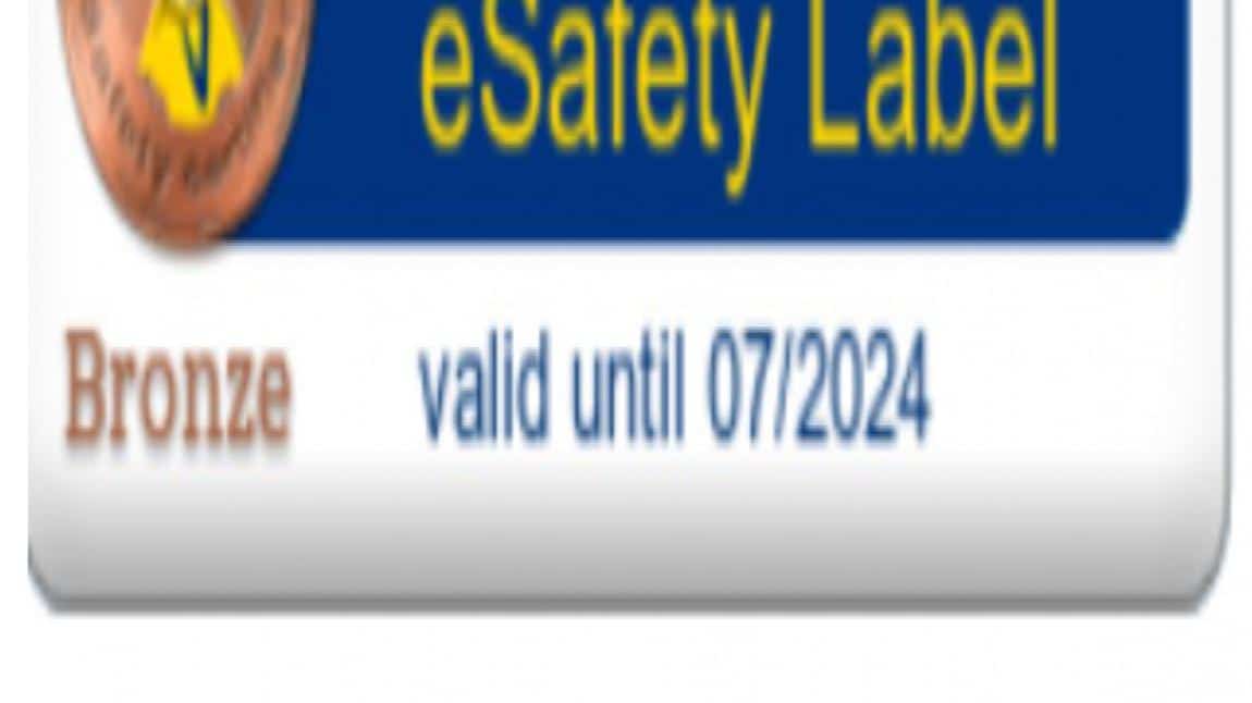 e safety label eu portalında BRONZ MADALYA almaya hak kazandık